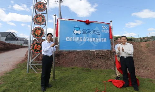 跨越山海的協(xié)作 嘉定區(qū)黨政代表團赴雙柏縣與南華縣考察記